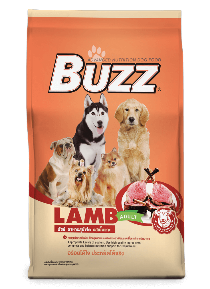 CD0262-Buzz บัซซ์ สุนัข(1-1.5kg./โต-แกะ)