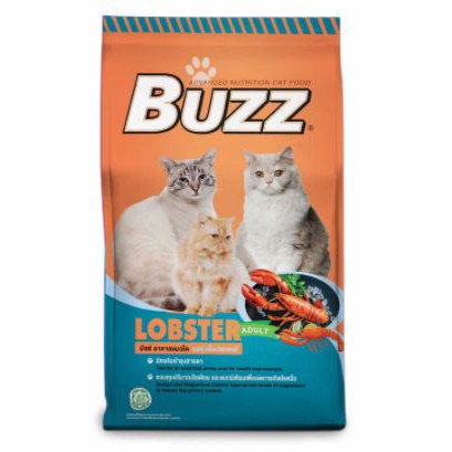 CD0261-Buzz บัซซ์ แมว(1-1.2kg./โต-กุ้งล็อบเตอร์)
