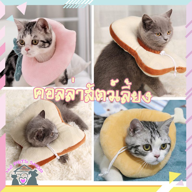 CD0116-Collar ปลอกคอ(คอลล่า นุ่ม ผลไม้)