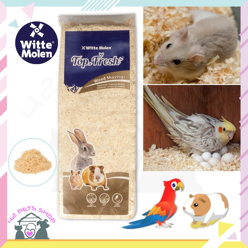 CD0121-Wood Shaving ขี้เลื่อย(Witte Molen Top Fresh 1kg.)