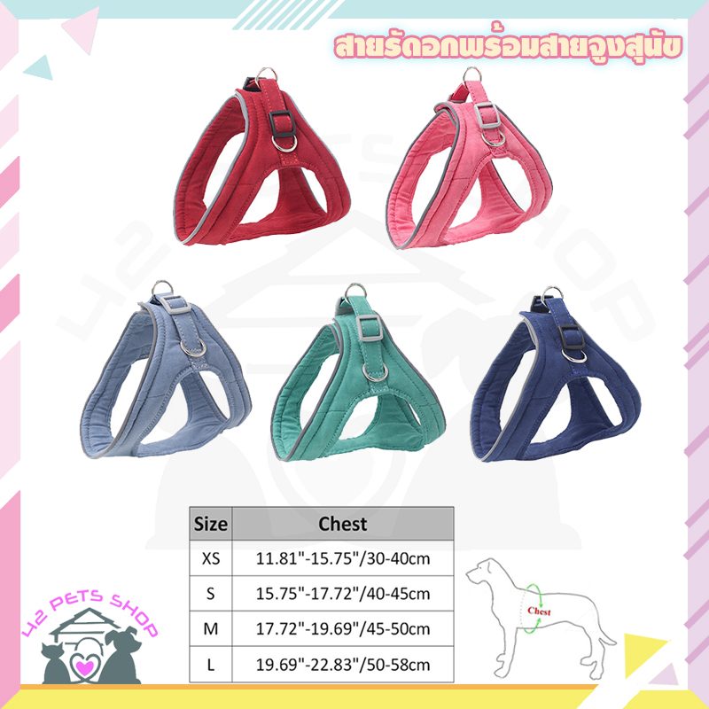 CD0122-สายจูง1(XS)-0993