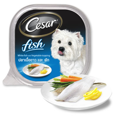 CD0206-Cesar ถาด(ถาด/ปลาขาวและผัก)