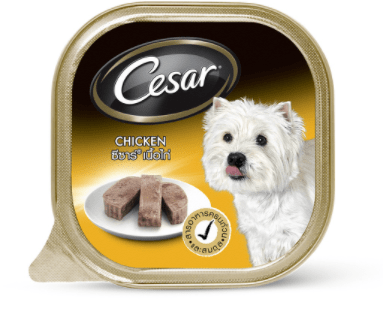 CD0206-Cesar ถาด(ถาด/คราฟต์ ไก่)