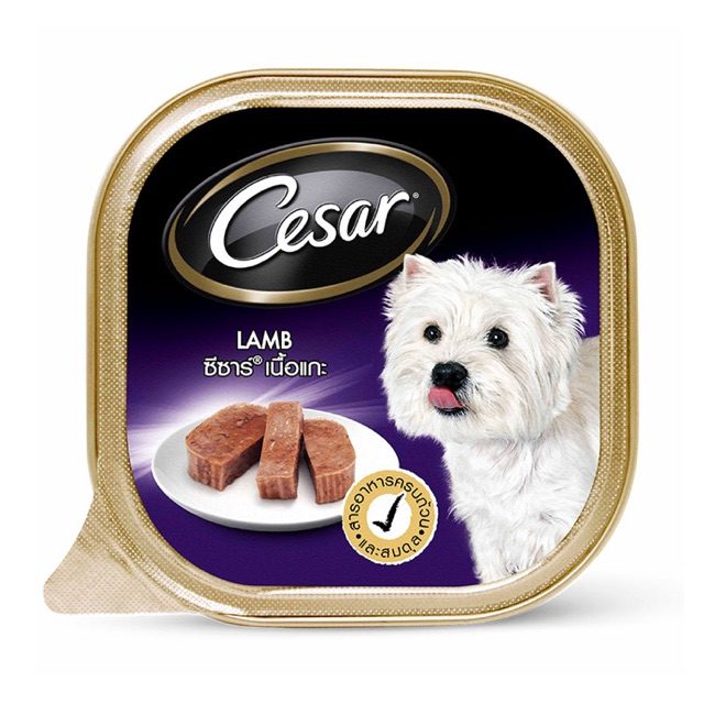 CD0206-Cesar ถาด(ถาด/เนื้อแกะ)