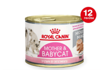 CD0201-Royal canin can 195g. แมว (โหล/แม่และลูกแมว)