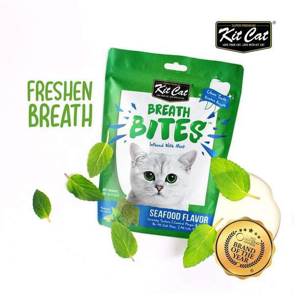 CD0166-Kit cat BREATH BITES(คิทแคท เบรทไบรท์-ชีฟู้ด เฟลเวอร์ 60กรัม)