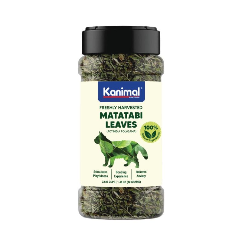 Kanimal Matatabi Leaves มาทาทาบิ แคทนิป ของเล่น ที่ลับเล็บ ที่นอน