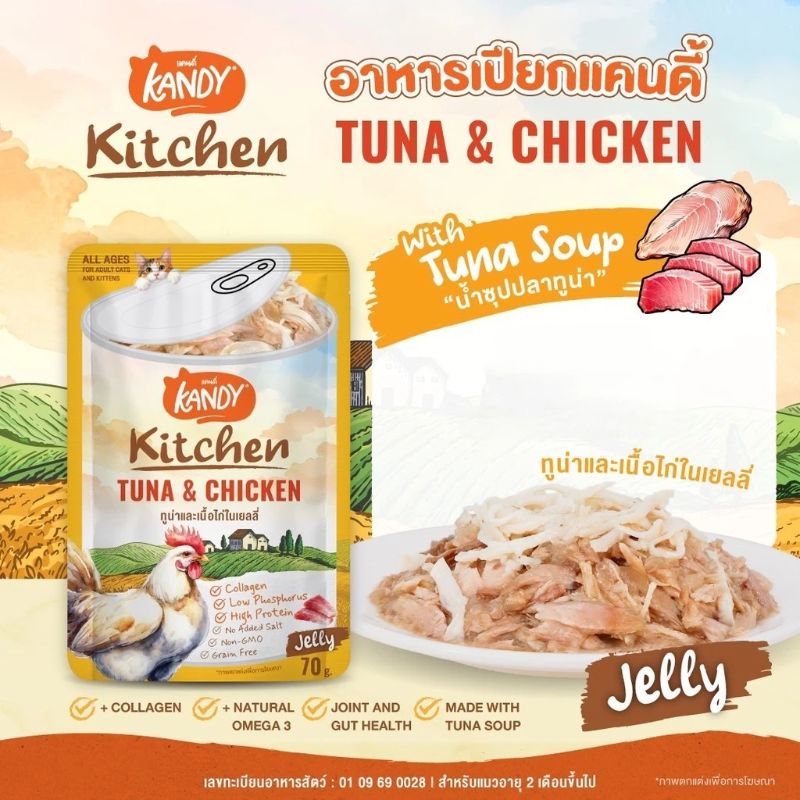 Kandy Kitchen ลัง 70gx48 ทูน่า+ไก่ เยลลี่ 0401J