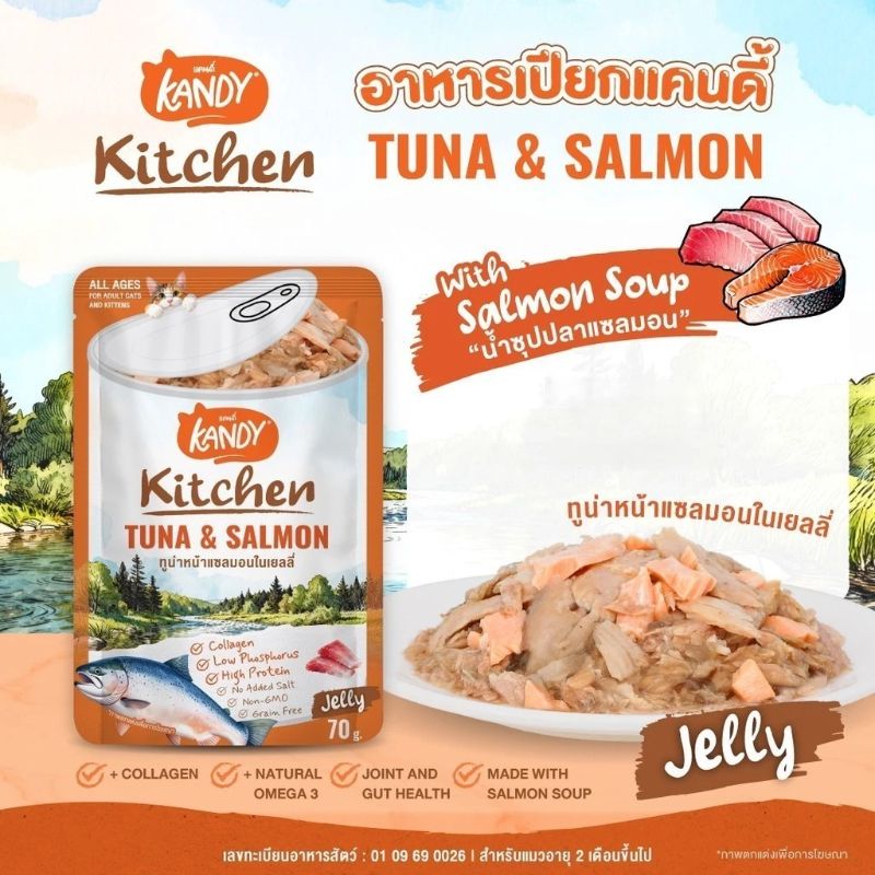 Kandy Kitchen ลัง 70gx48 ทูน่า+แซลมอน เยลลี่ 0402J
