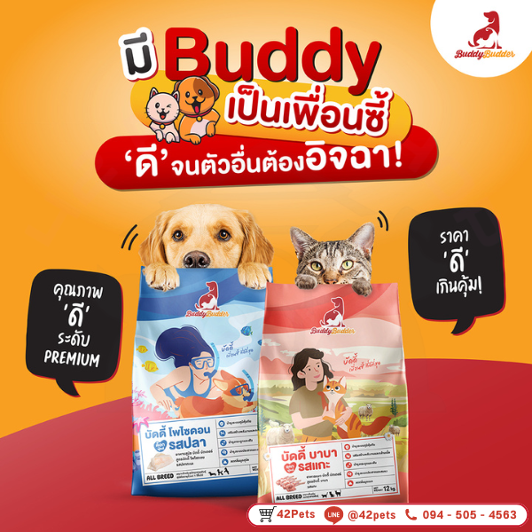 Buddy Budder-C ลัง 400gx24 รสแซลมอน เยลลี่ (ส้ม)