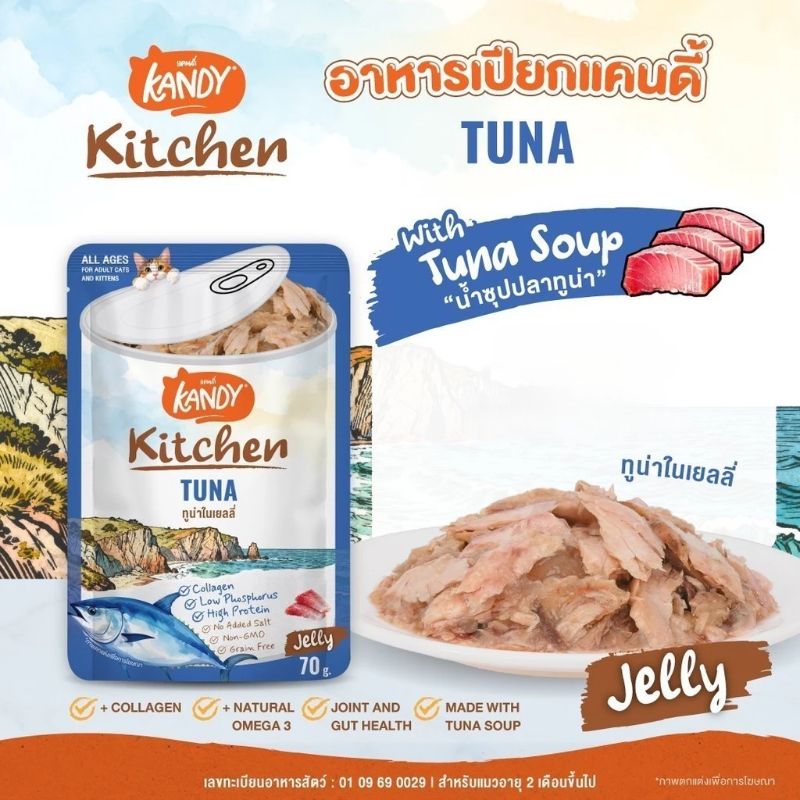 Kandy Kitchen ลัง 70gx48 ทูน่า เยลลี่ 0404J