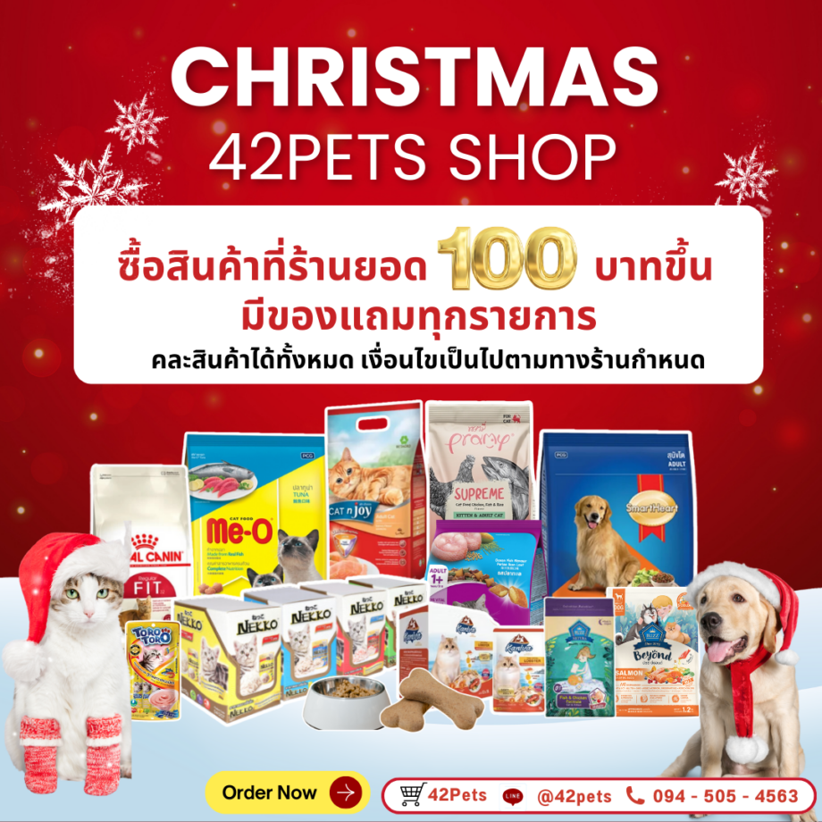 🎄✨ **Promotions Christmas มาแล้วค่า!!** 🎉   📢 **42Pets Shop** จัดหนักจัดเต็ม ส่งท้ายปีเอาใจเจ้าสัตว์เลี้ยงที่คุณรัก! 🐶🐱🐰