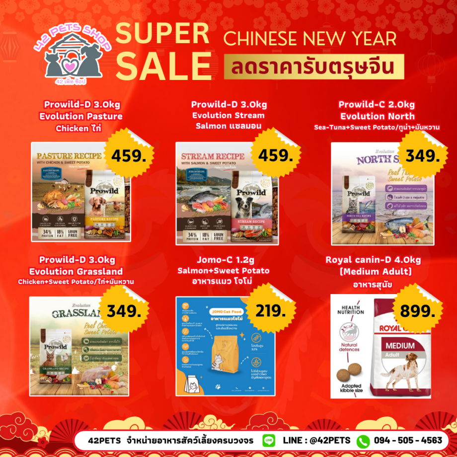 🎉 Happy Chinese New Year! สุขสันต์วันตรุษจีน!🧧🎊 42Pets shop สวัสดีตรุษจีน 2568