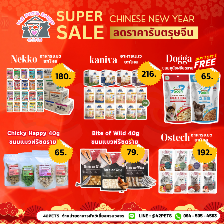 🎉 Happy Chinese New Year! สุขสันต์วันตรุษจีน!🧧🎊 42Pets shop สวัสดีตรุษจีน 2568